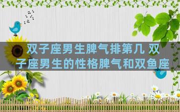 双子座男生脾气排第几 双子座男生的性格脾气和双鱼座